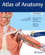 Atlas of Anatomy Thieme