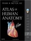 Netter's Atlas of Human Anatomy 7th Ed