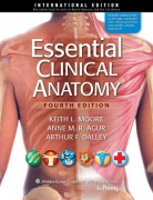 Essential Clinical Anatomy 4 ED